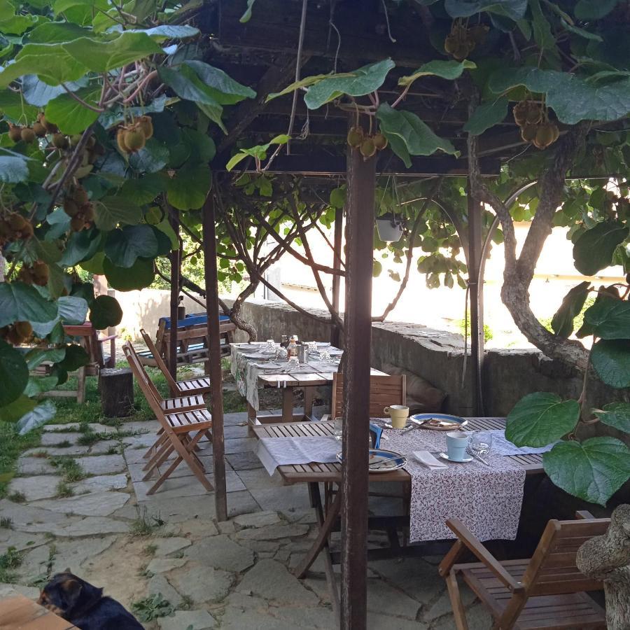 Bed and Breakfast PocoBurro Ca' d'arte Montaldo Roero Esterno foto